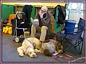 10-03-11 P1000185